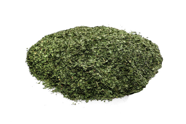 CILANTRO MACHINE