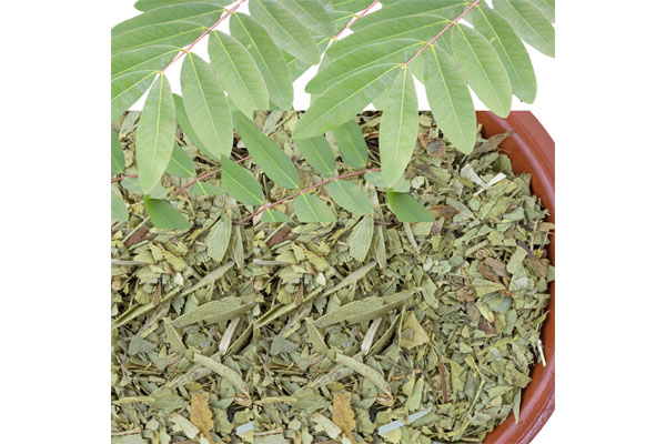 SENNA LEAVES