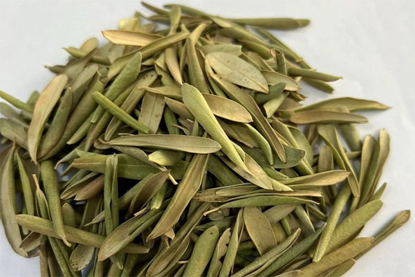 olive leaves